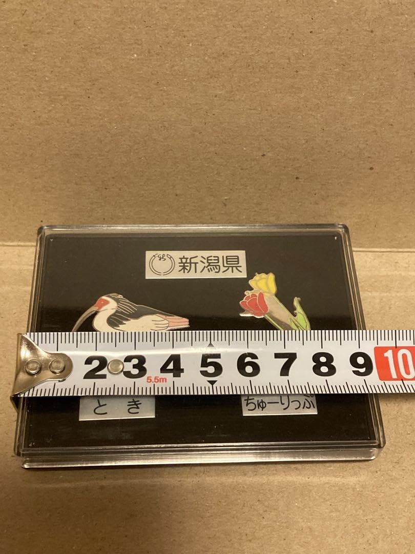 Amazon.co.jp: 新潟県のシンボル ピンバッジセット 県鳥朱鷺
