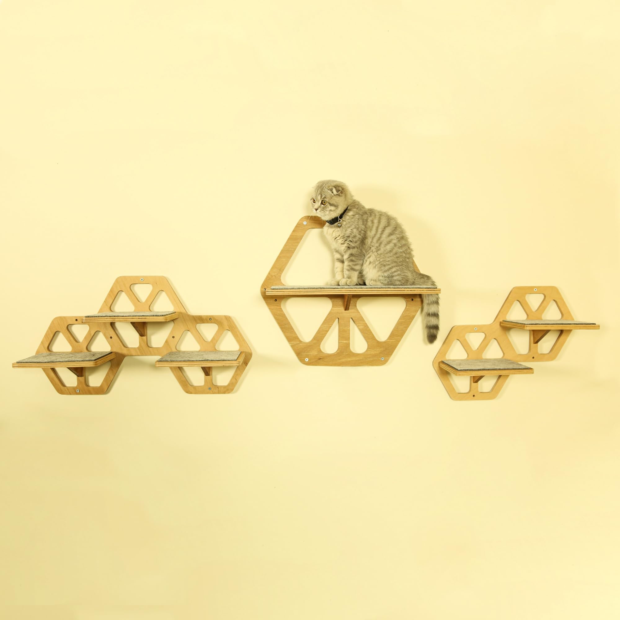 Cat Wall Shelves and Perches 3 PCS Beechwood - Mounted Cat Wall Furniture for Indoor Cats for Climbing Playing and Lounging - 5 Cat Wall Steps with Cat Shelves and a Cat Wall Bed