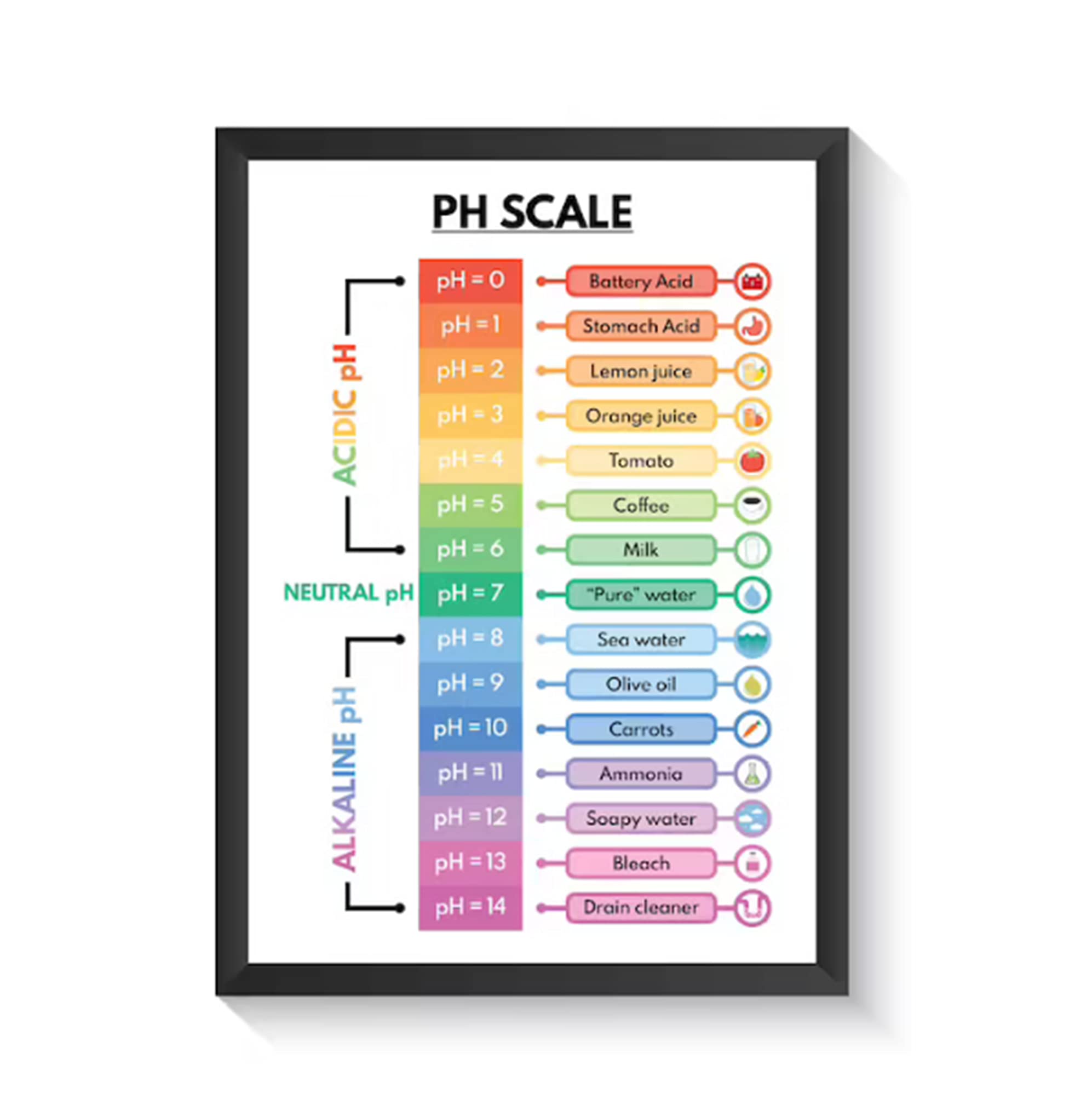 PH SCALE POSTER, Educational poster, Science poster for kids, Math, Rainbow colors, Classroom Wall Art, Printable - Full Size 11"x17" 12"x18" 16"x24" 18"x24" 24"x36" Please Custom Your Size Poster Unframed