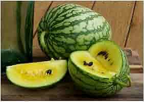 Bee  Watermelon【希少】 Amazon.com : 40 Seeds Pony Yellow Hybrid Japanese Watermelon