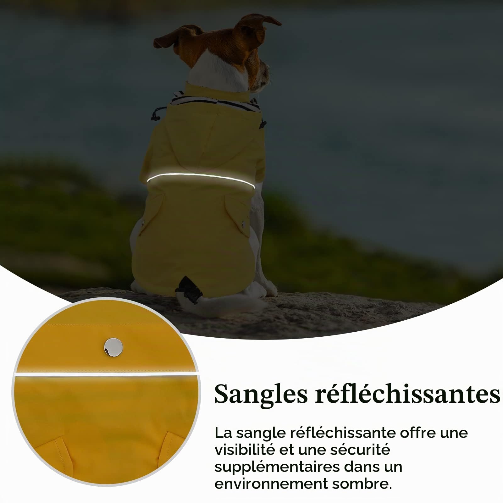 Pethiy- Manteaux imperméables pour Chien élégants de qualité supérieure, résistant Pluie/l'eau,Cordon de Serrage réglable,Capuche Amovible,Vêtements pour Petite et Moyenne Chien-Jaune-S