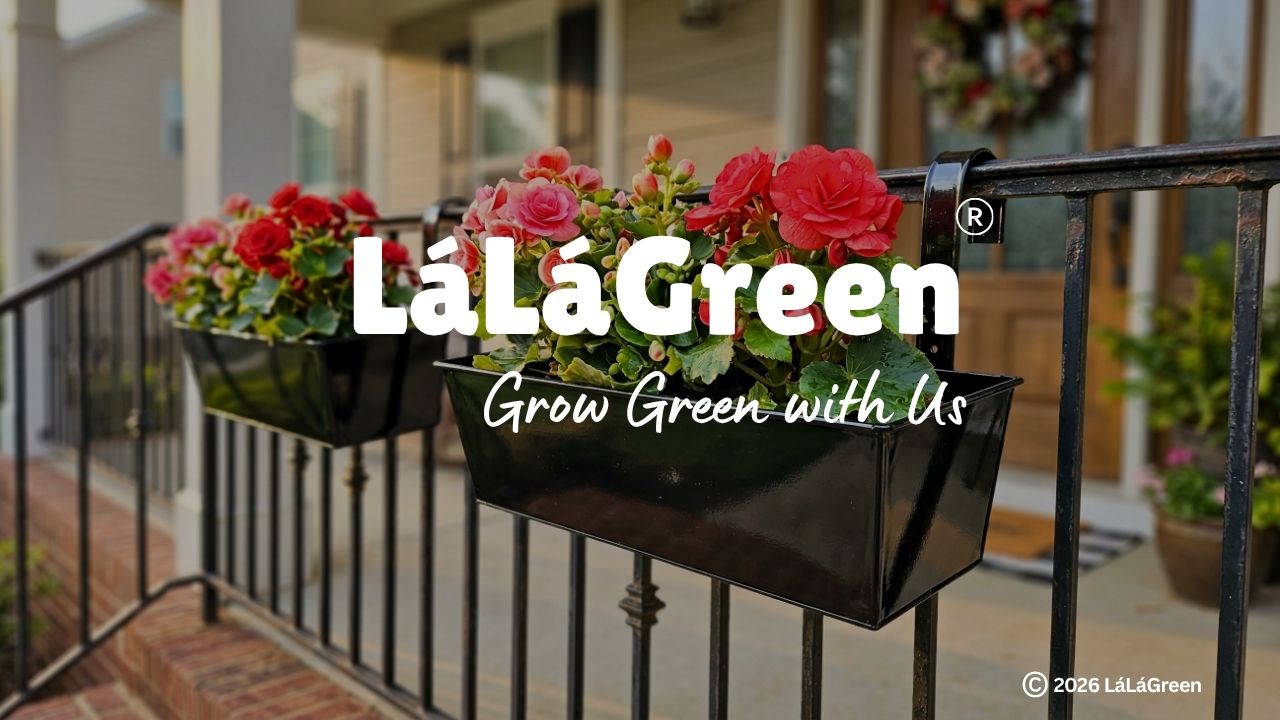 Amazon.com : LaLaGreen Railing Planter (4 Pack, 14 Inch) Black