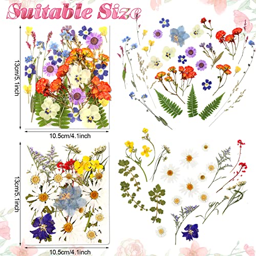 Funtery 111 piezas flores prensadas secas para manualidades miniatura 4