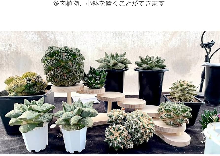 根彫り首アクセサリーペンダントペンダント実木コレクション展示棚7