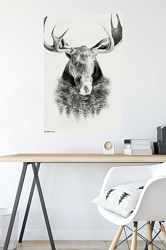 Miniatura 4 de Trends International Póster de pared de alces con árboles, 22.375 x 34 pulgadas, versión sin marco