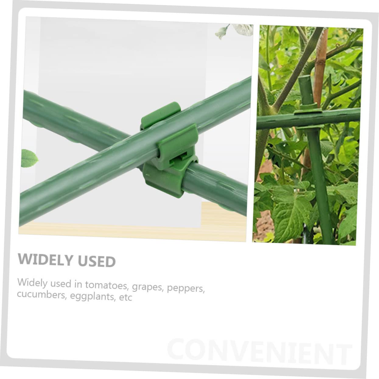 Didiseaon 5 Set Supporto per Rampicanti Accessori per Dispositivi di Estrazione Supporto per Piante in Rattan Legare Il Filo Traliccio da Giardino con Traliccio Clip per Piante da 50 Pezzi*5
