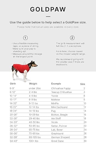 Goldpaw Sun Shield Tee for Dogs and Cats - UV Protection UPF50+ Cooling - Great for Anxiety, Allergies, Wound Care, Hairless Pets - Machine Wash, Quick Dry (Pebble, 24) - Thumbnail 3