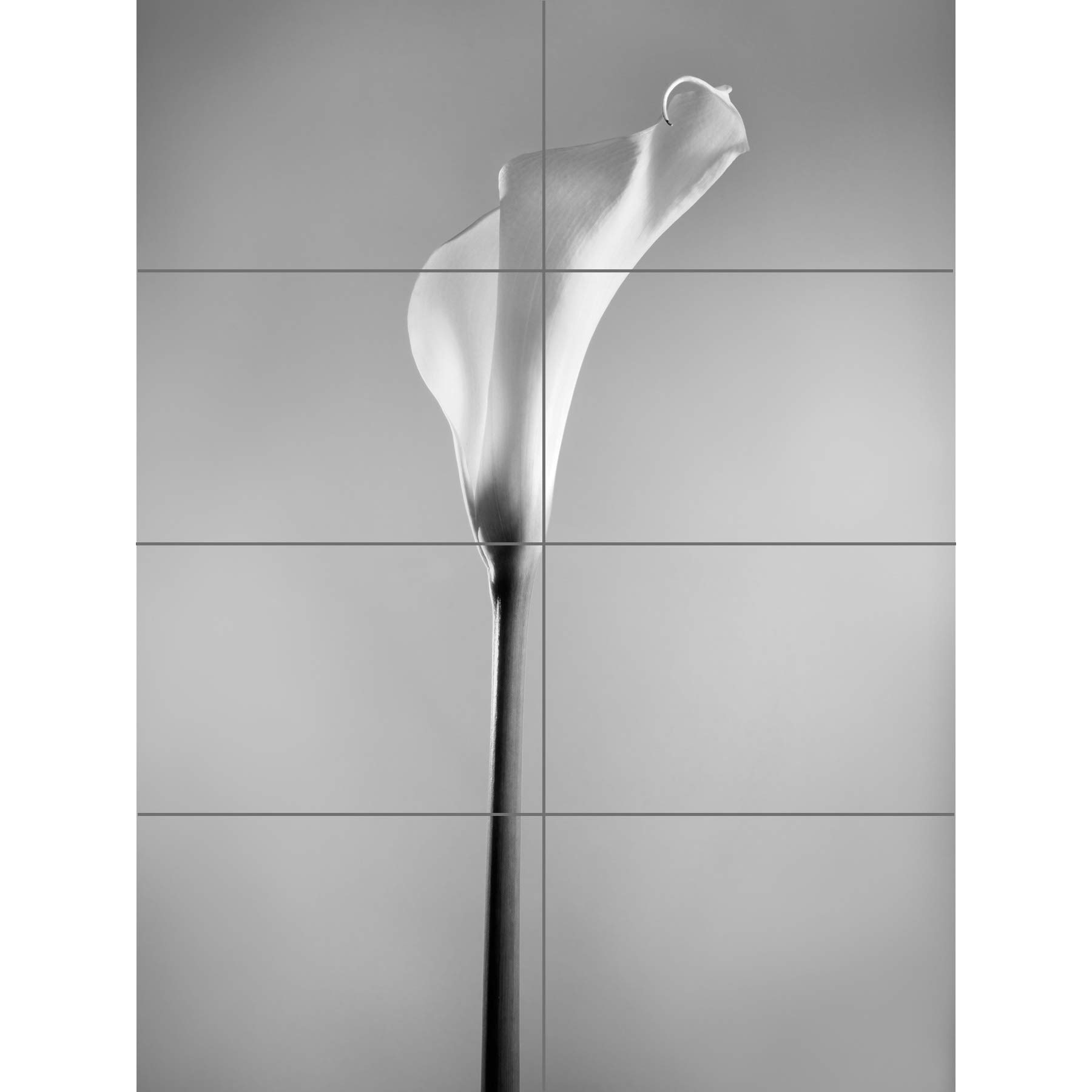 Artery8 Flower Black And White Calla Lily XL Giant Panel Poster (8 Sections)
