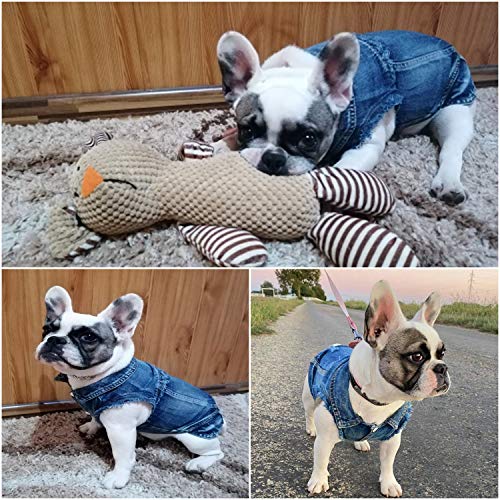 Brocarp Dog Jean Jacket, Blue Denim Lapel Vest Coat T-Shirt Costume Cute Girl Boy Dog Puppy Clothes, Comfort and Cool Apparel, for Small Medium Dogs Cats, Machine Washable Dog Outfits (Medium, Blue) - Thumbnail 2