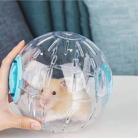 dog sized hamster ball