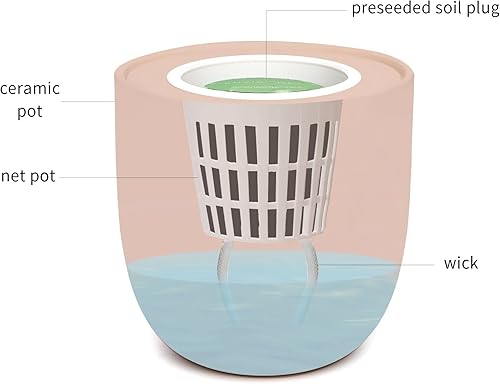 Miniatura 3 de Kit de cultivo de hierbas hidropónicas, kit de iniciación de jardín de hierbas de cocina con riego automático con maceta de cerámica rosa y semillas