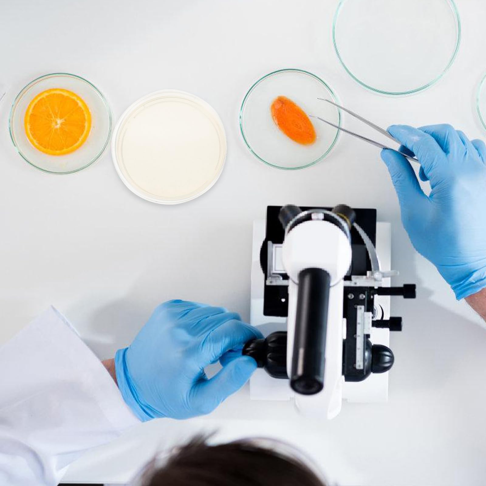 Kit de 20 Placas de Petri Estériles de Plástico Agar Nutritivo Lb de 9 CM, Ideales para Experimentos Científicos y Estudios Microbiológicos