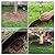 33FT No Dig Landscape Edging, 4 in Tall Flexible Garden Edging Borders,Lawn Edging with 30 Spikes,Plastic Edging Border for Garden, Flower Beds, Pavement-Brown