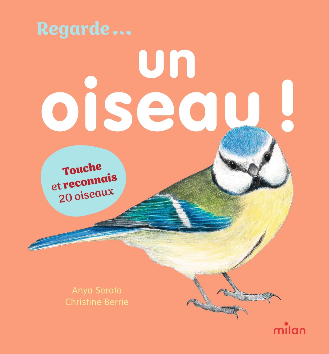 Un oiseau !: Un imagier coloré, en relief, pour apprendre à reconnaître les oiseaux et découvrir leur nom.