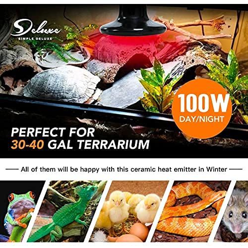 Simple Deluxe 100W Ceramic Heat Emitter Reptile Heat Lamp Bulb with Light Invisibly Emitting, Digital Thermometer and… - Image 7