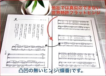 Amazon.co.jp: GVIDO 2画面電子楽譜タブレット 未使用元箱付き◉最終