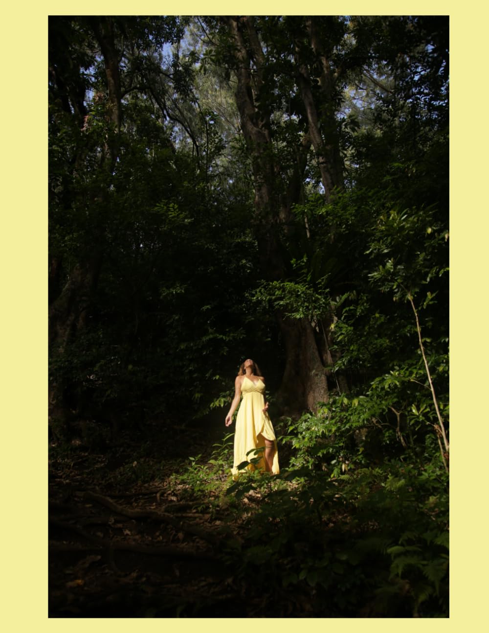 Sacred Earth: The Jungle Photographs (The Island Muse Collection)