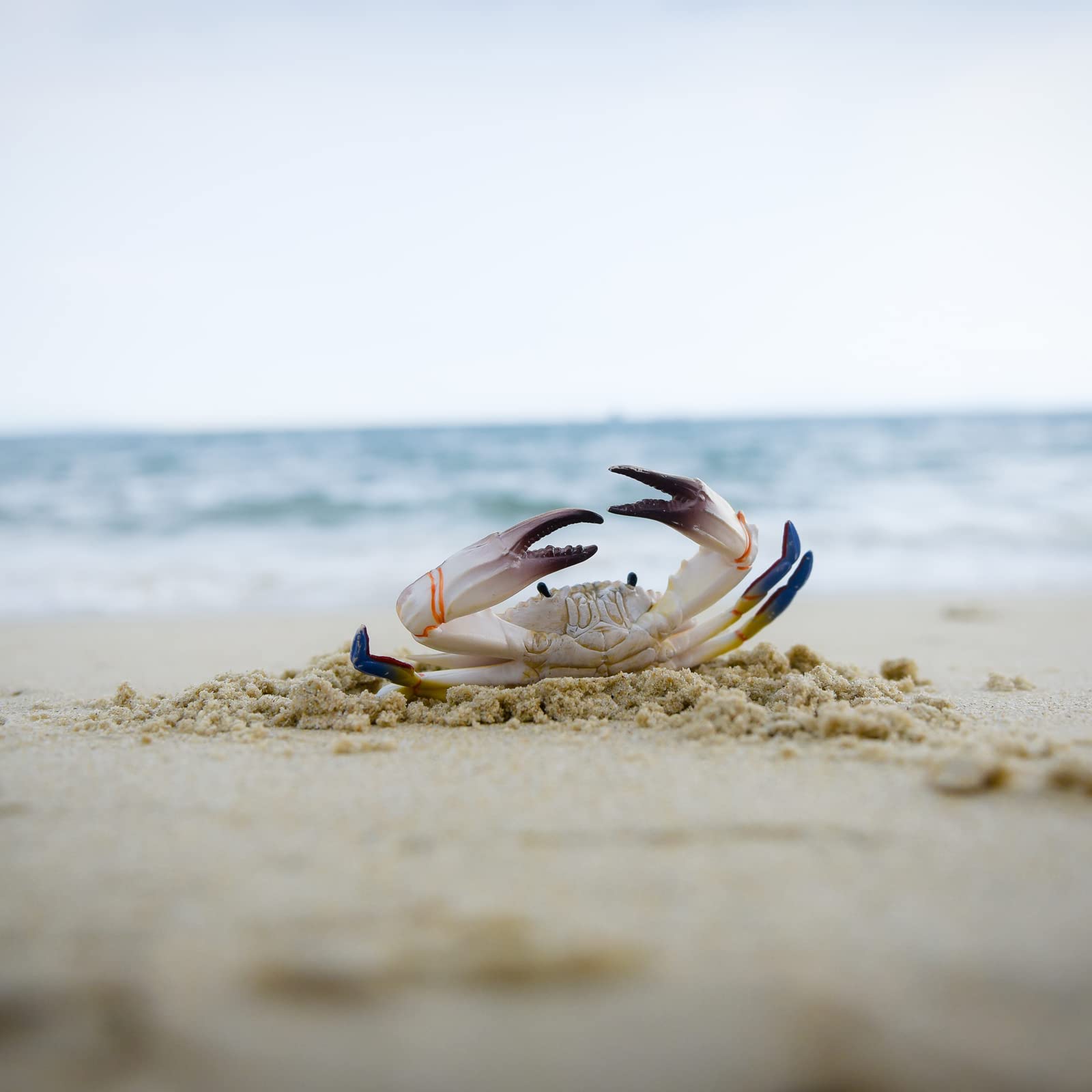 Large Crab Toys Sea Life Animal Toys Ocean World Realistic Marine Animal Creature Action Figure, Birthday Cake Copper for Kids