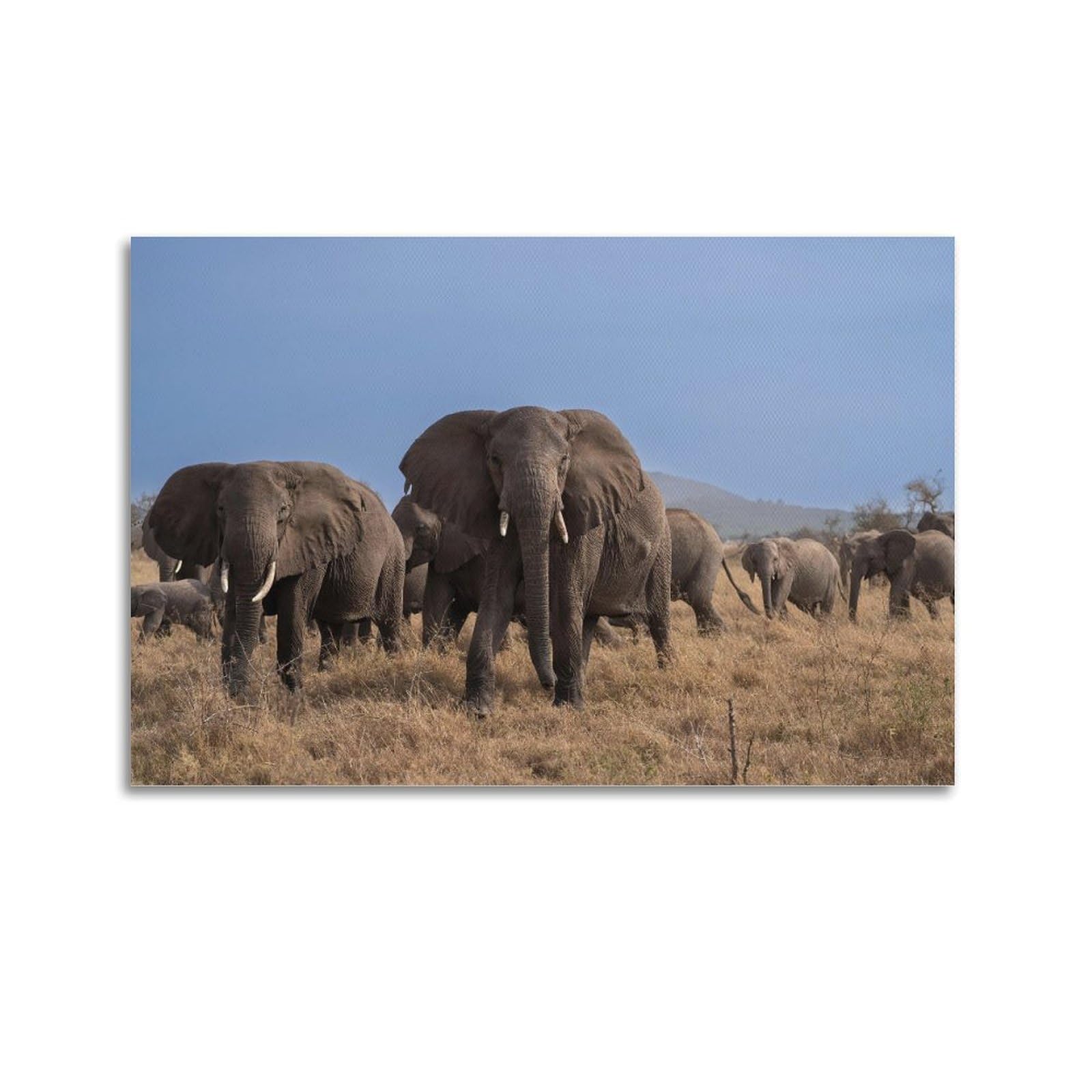 Xkuga Boys Unframe-Style African Elephant Poster Migration Journey Grassland Modern Decorative Canvas Prints - Ideal Wall Art For Family, Man Cave, Game Room, & Girls Bedroom 20X30inch(50X75cm)