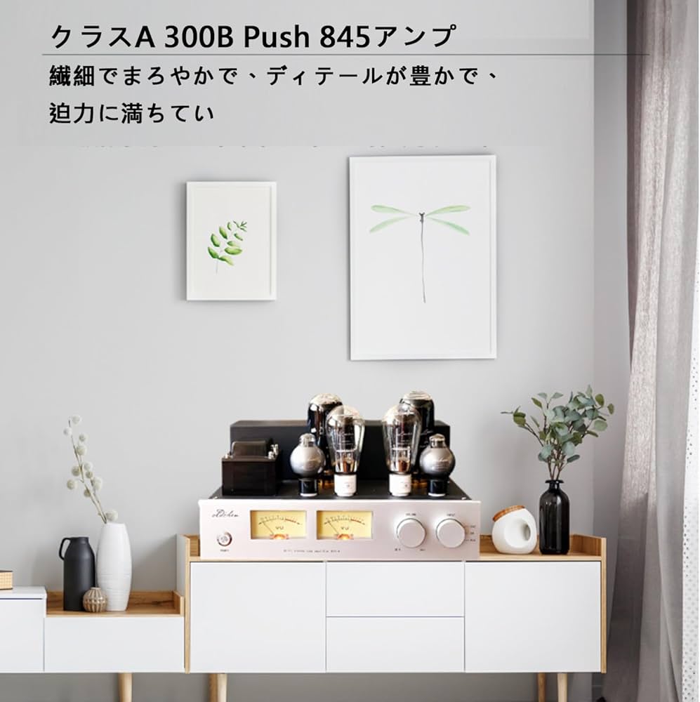Jaiyinnlay 300B HiFi 真空管 アンプ Amazon.co.jp: Jaiyinnlay 300B HiFi 真空管 アンプ ブルートゥース