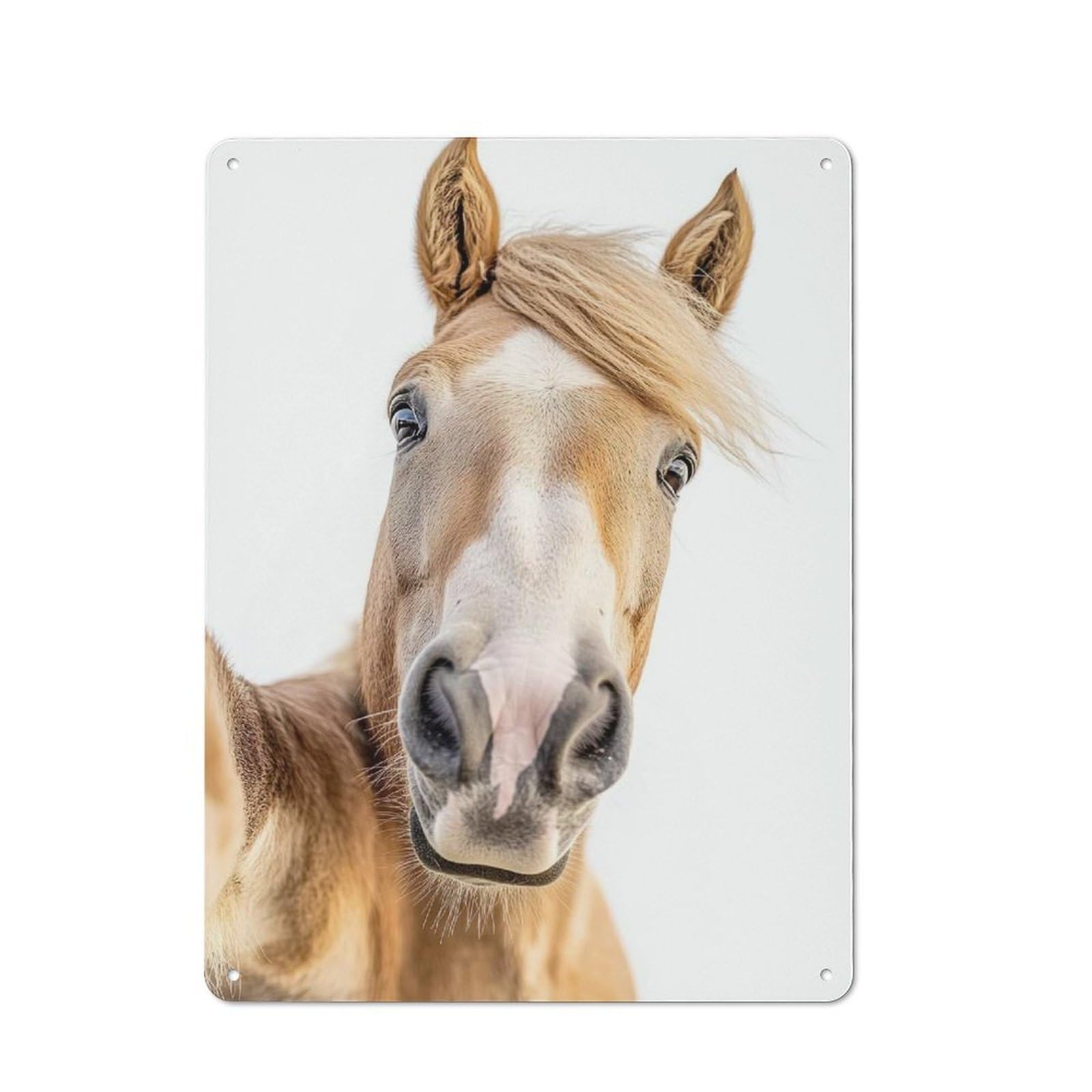 Classic Horse Selfie Decorative Tin Plaque 40x30cm, Bar Wall Plaque for Diner, Restaurant, Shed Or Kitchen