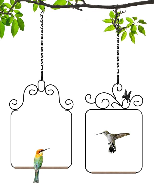 Balanço para Beija-flores PACETAP de Metal com Poleiro de Madeira Black, Pacote com 2