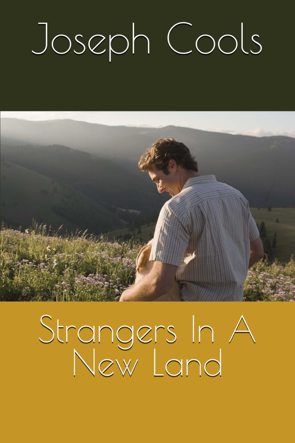 Strangers In A New Land