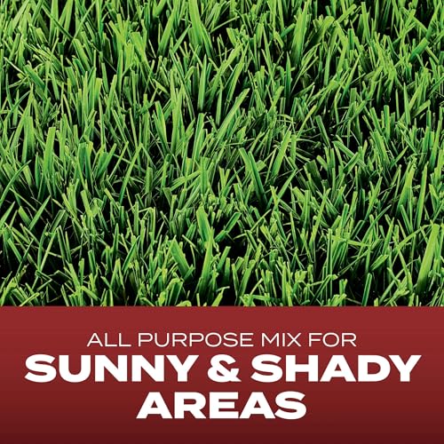 Grass Seed Blends For Overseeding Existing Turf