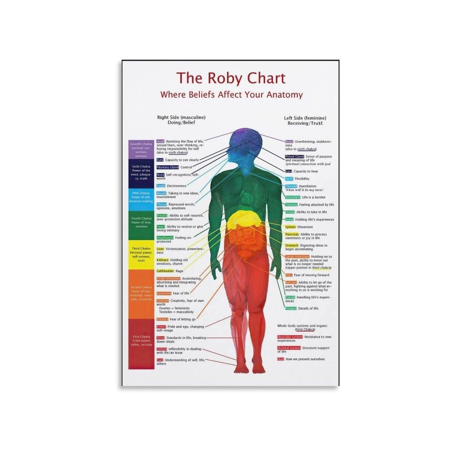 ICYJRFHLTF Anatomy Metal Sign Spiritual Educational Wall Chart for Yoga Room Decor (8 X 12 in)