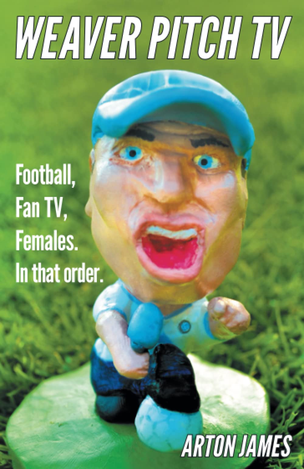 Weaver Pitch TV (The Foul Series)