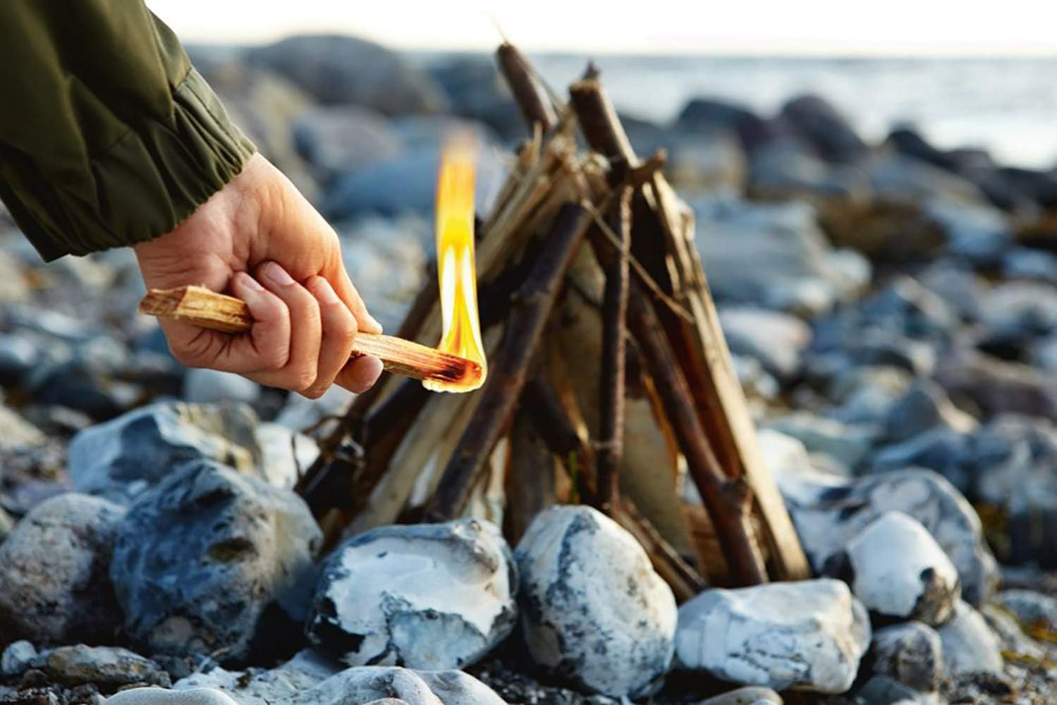 Light my Fire Kindling Wood Sticks - Ecological Tinder for Fire Making - 100% Chemical Free - Survival Fire Starter Tinder for Fireplace - Fat Wood Pine Emergency Tinder for Fire Pit When Camping