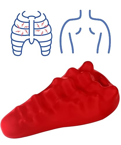 Shoulder Blade Wedge Release Rhomboid Trapezius Thoracic Spine, Massage Upper