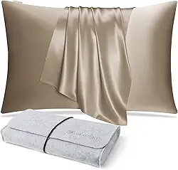 DISANGNI 100% Natural Mulberry Silk Pillow case for Hair and Skin with Hidden Zipper 22 Momme Both Sides Real Silk Pillow Case (1pc Queen Size 20' x30', Taupe)