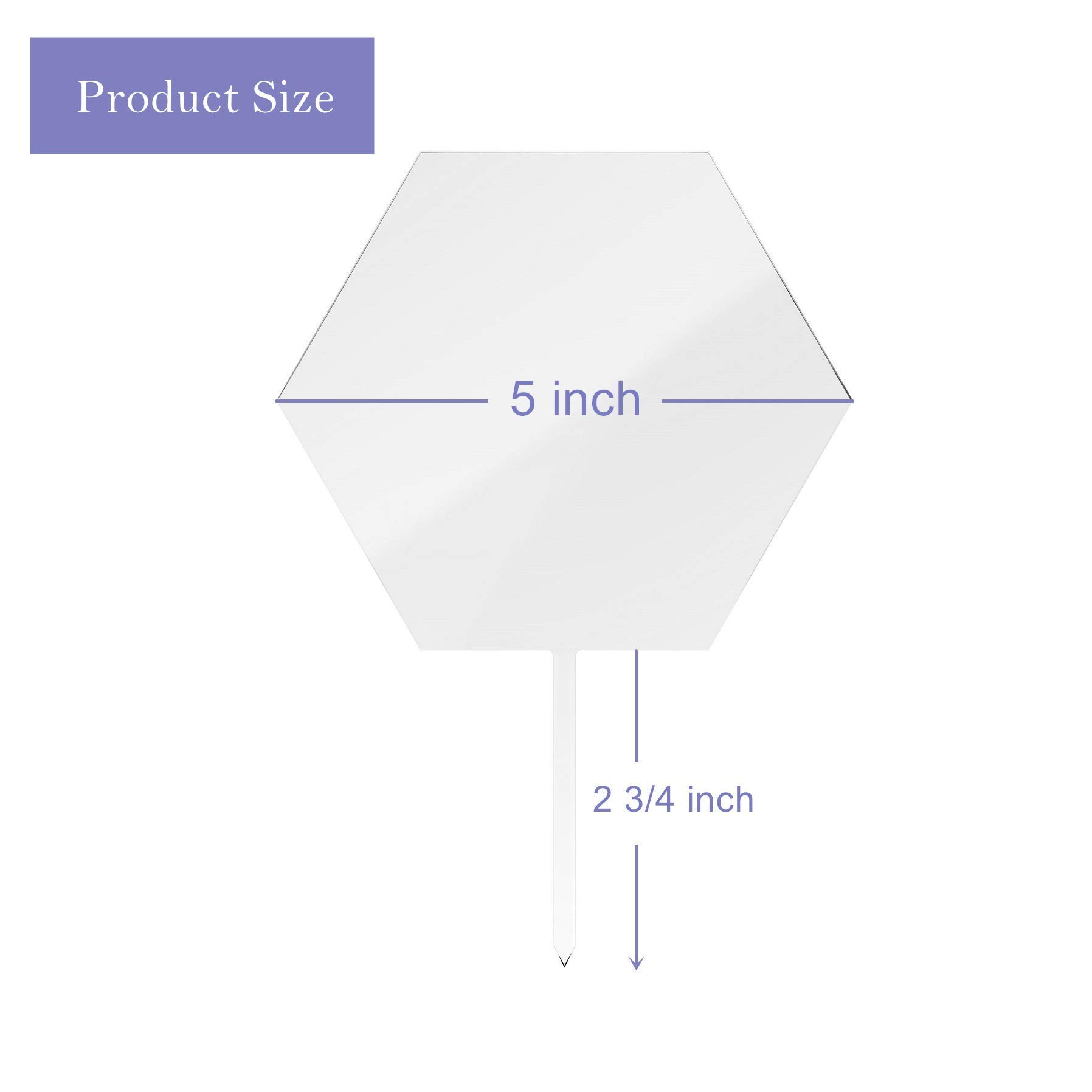 Snapklik.com : 20 Pack 5 Inch Clear Acrylic Cake Toppers, Blank Hexagon ...
