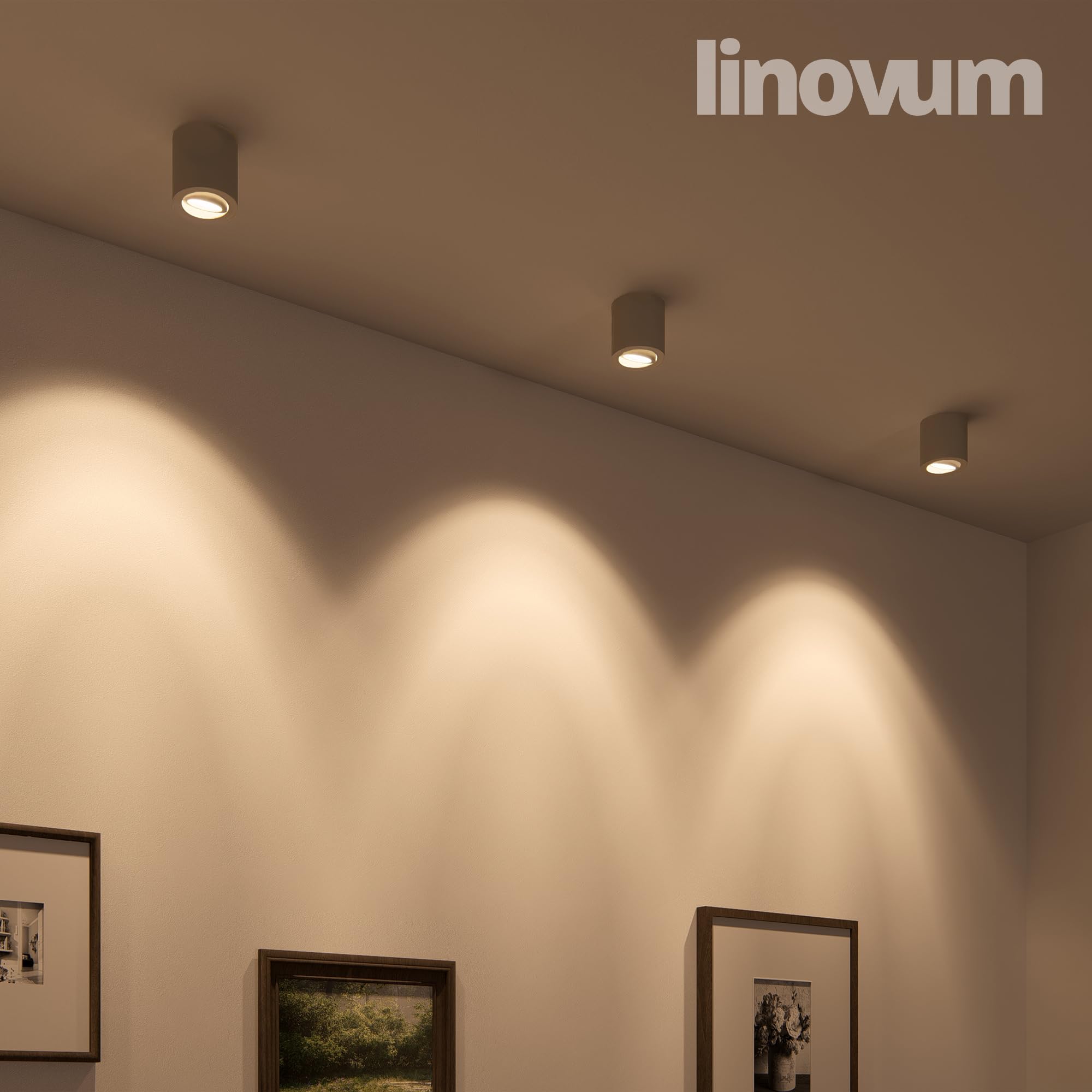 linovum 4 Stück CORI schwenkbare Aufbaustrahler weiß & silber im Set - runder Deckenstrahler geeignet für GU10 & LED Module
