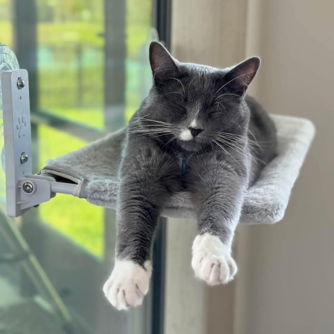 Hamaca Gato Ventana (52x30cm) Bestfriend® | Plegable, Lavable y Transpirable | Ventosas Reforzadas para Seguridad y Estabilidad hasta 18 kg (Felpa Gris)