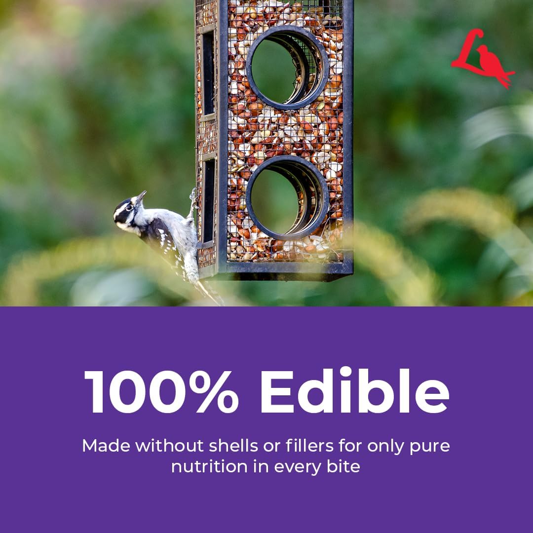 Lyric Delite Wild Bird Seed for Outside Feeders - No Waste Bird Food, Shell-Free Nuts & Seeds Mix, Attracts Buntings, Chickadees & Finches, 20 lb Bag