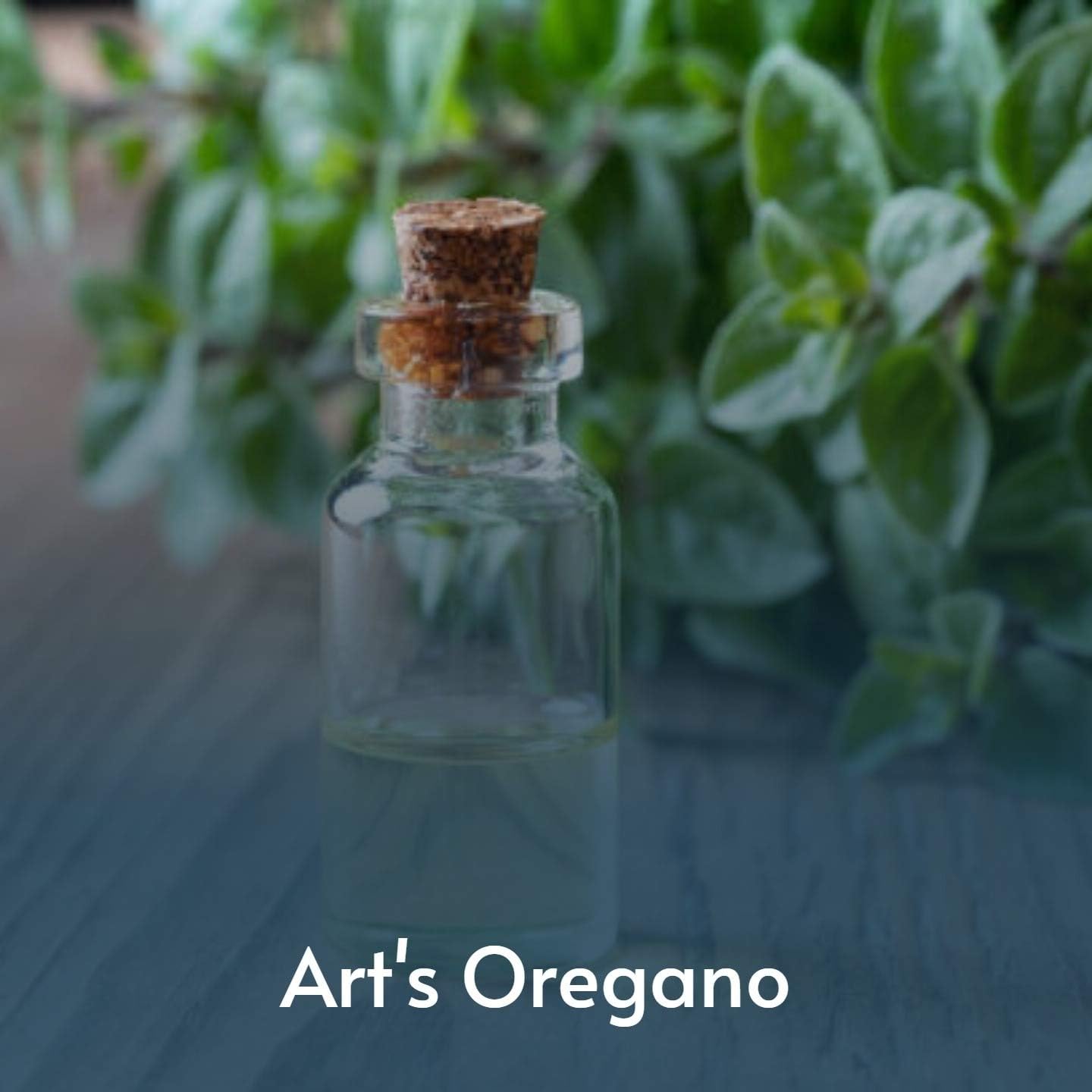 Art's Oregano [Explicit]