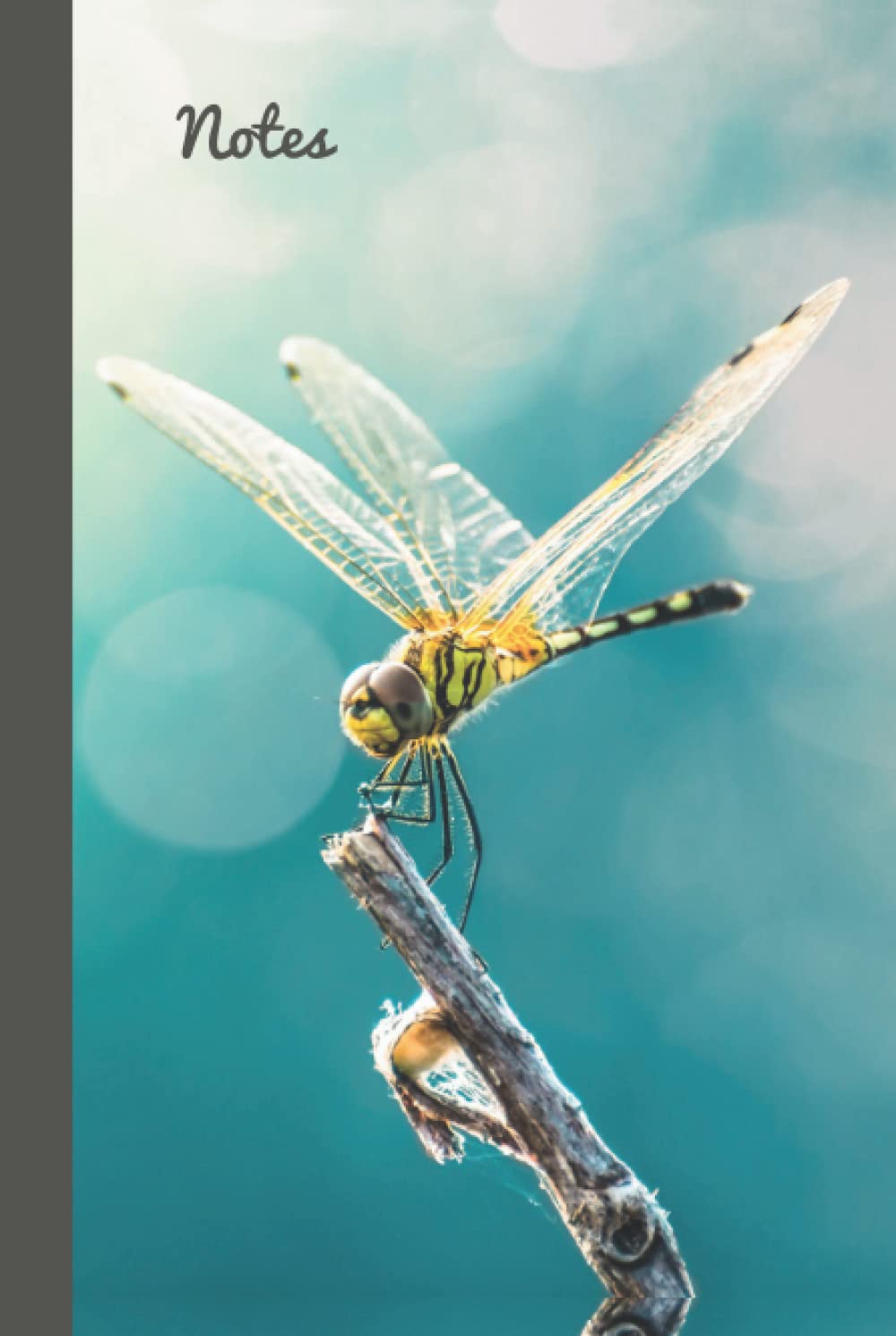 Notes: 6x9 Hardcover Password Book Cleverly Disguised With Beautiful Design / Blue Yellow Dragonfly Art Photo / Hardback Discreet Internet Username ... Log-book / Alphabetical Tabs / Large Print