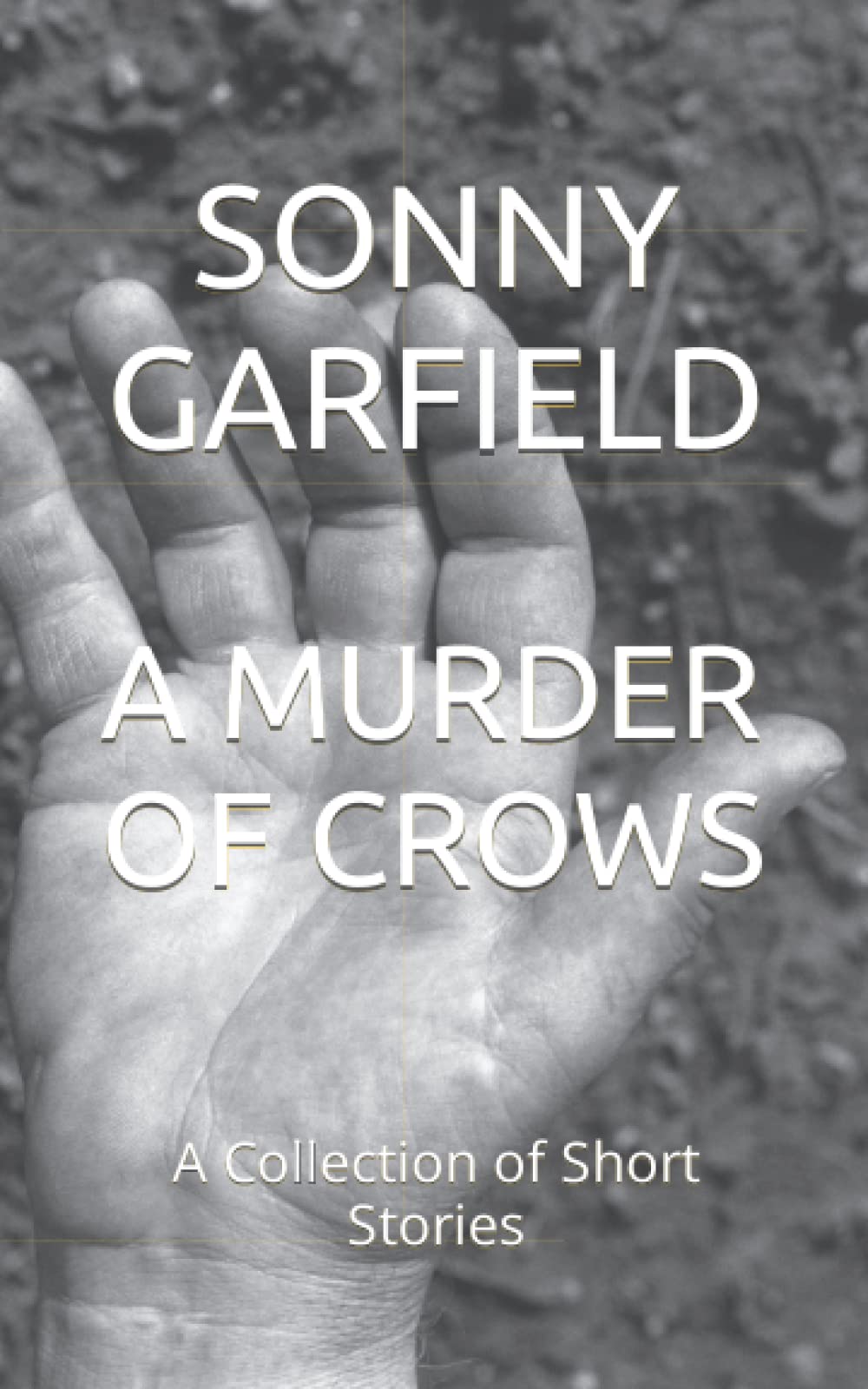A MURDER OF CROWS: A Collection of Short Stories