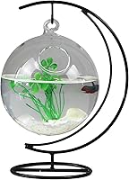 Vista 1 de Simple pecera colgante de escritorio, pecera creativa de vidrio transparente con soporte de metal, acuario de peces pequeño para decoración