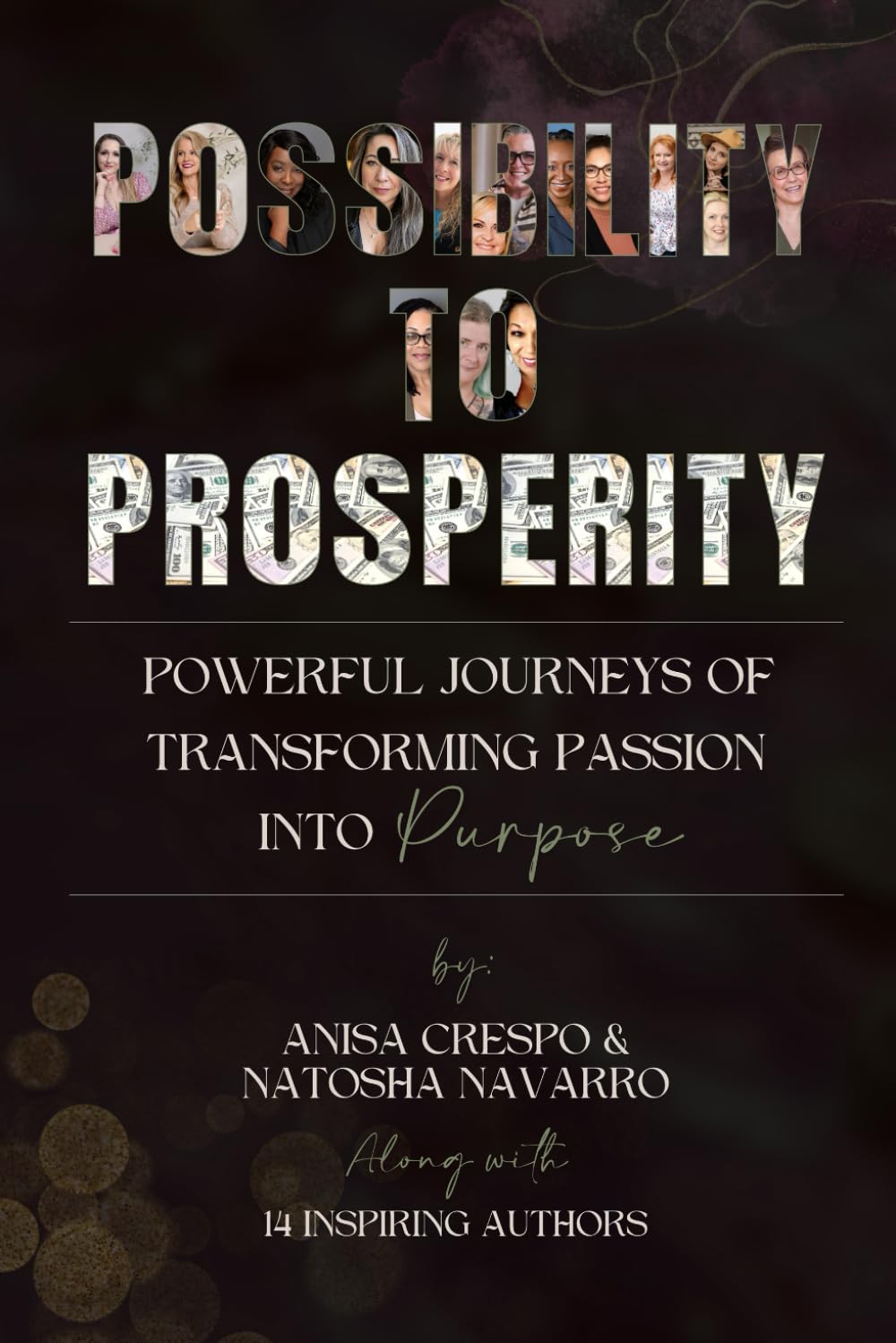 Possibility to Prosperity: Powerful Journeys of Transforming Passion Into Purpose