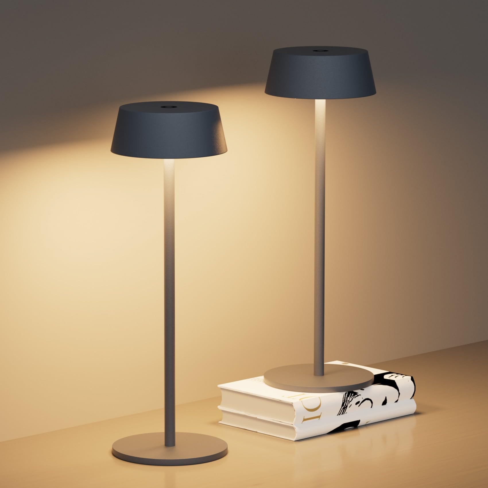 Kligten Lot de 2 LED Dimmable Anthracite Lampes de Bureau