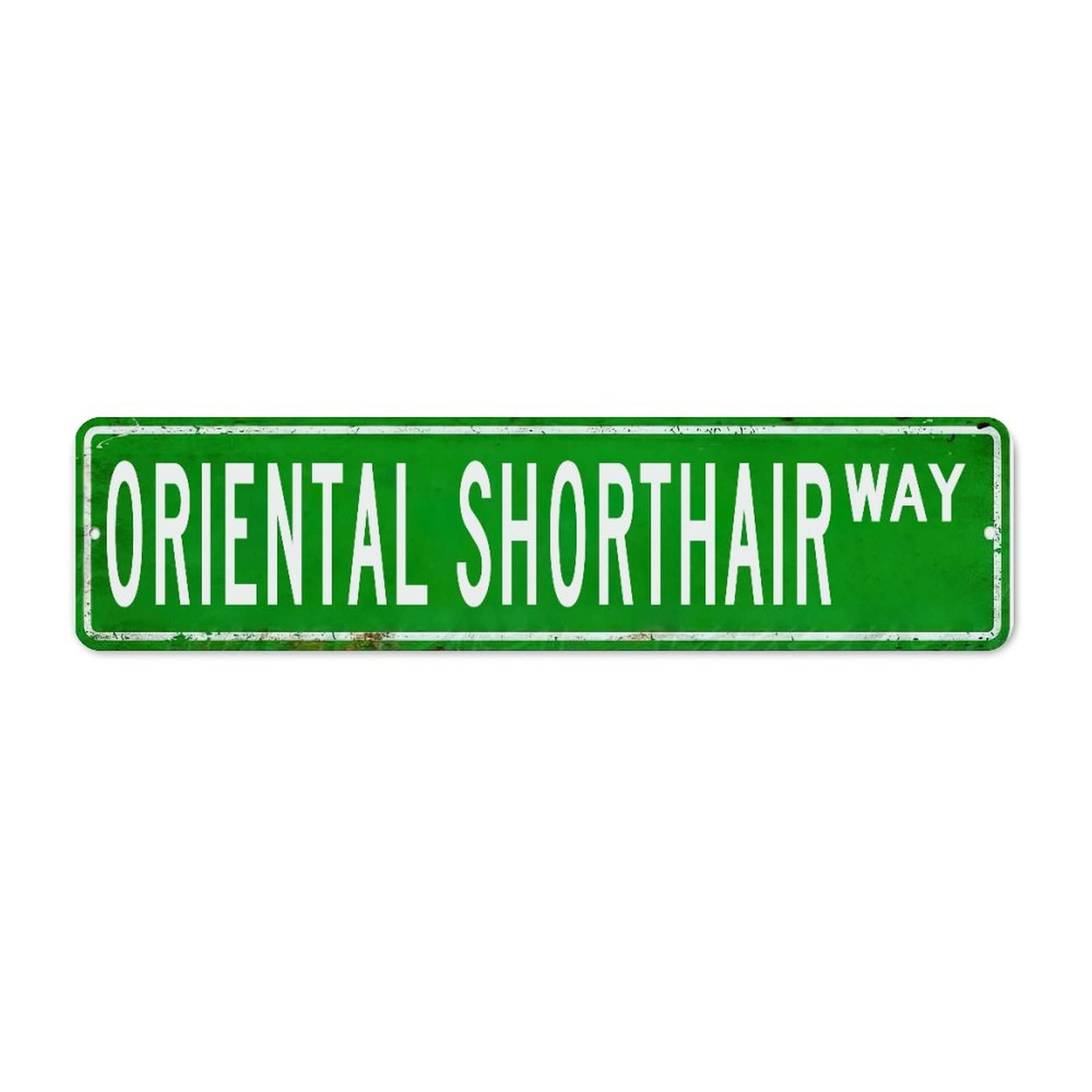 Plaque de rue orientale shorthair en métal vintage pour déco murale de bar