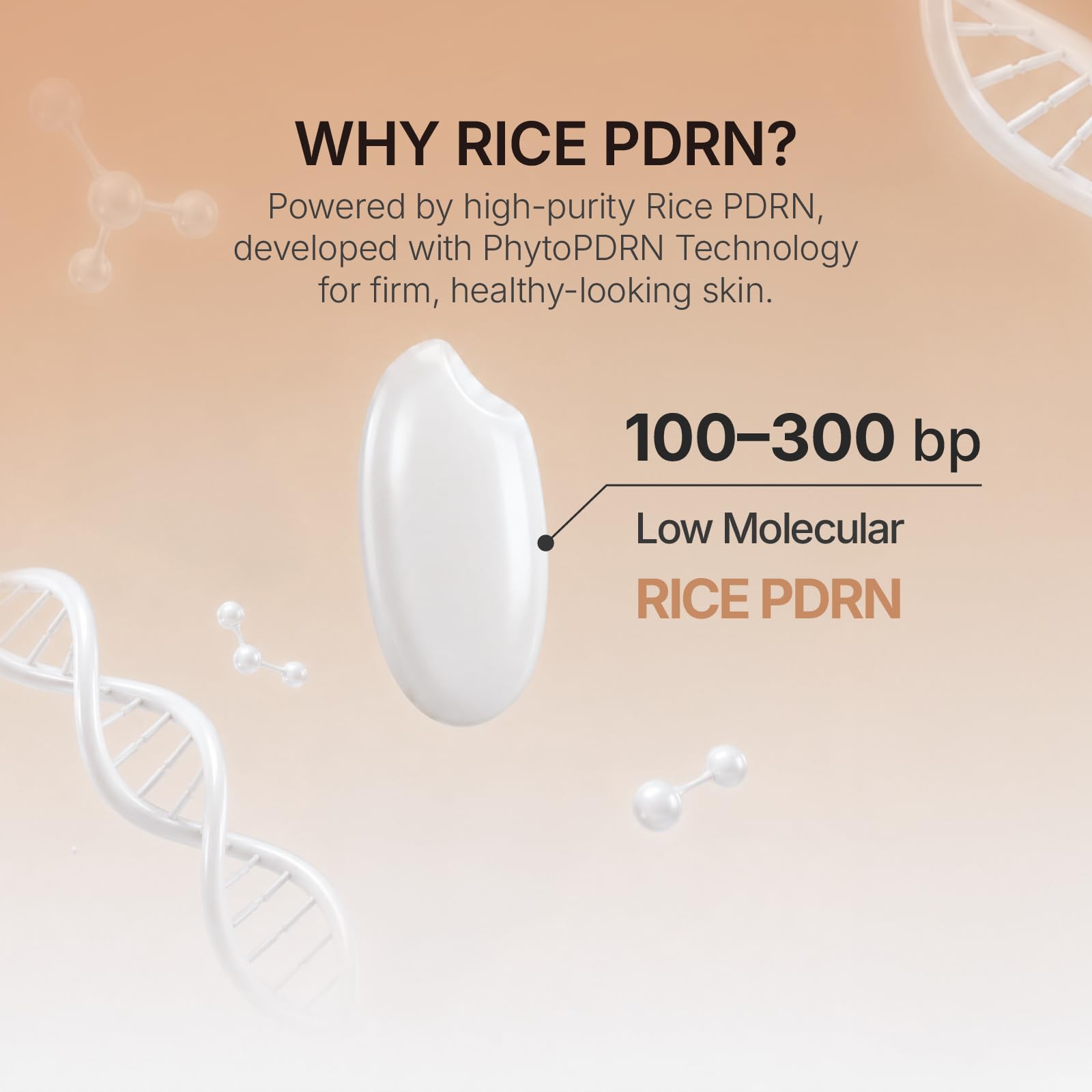 MIDHA Brown Rice Milky Toner, 85% Rice Bran Water, PDRN & 5 Ceramides, Deep Hydration for Glass Skin, Strengthens Skin Barrier & Boosts Glow, Korean Skincare, 6.76 fl.oz