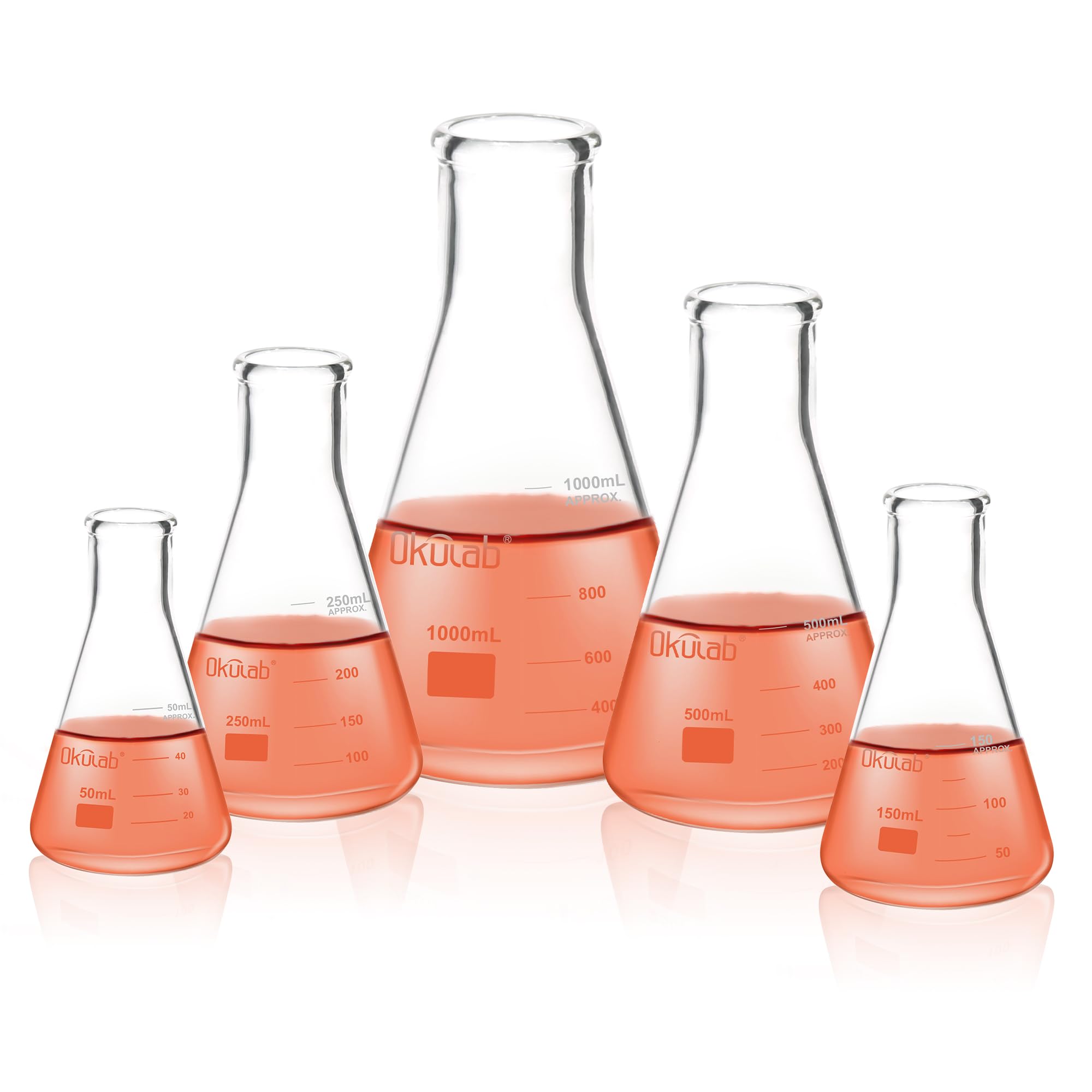 Erlenmeyer Glasflaschen Set bestehend aus Vol.50.150.250.500.1000 ml Borosilikatglas 3.3 mit aufgedruckter Skala EFNGS5A1