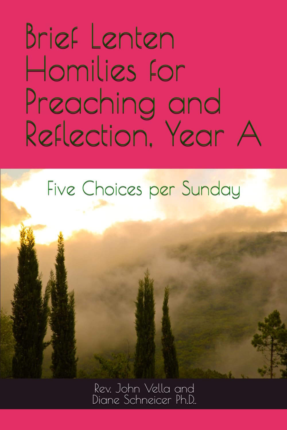 Brief Lenten Homilies for Preaching and Reflection, Year A: Five Choices per Sunday