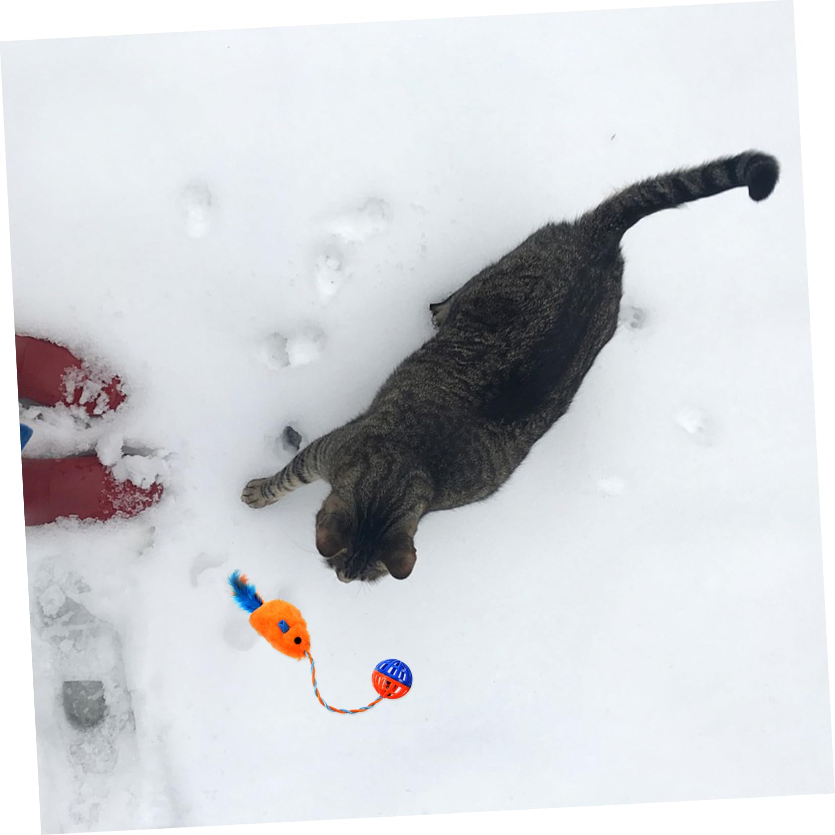 TOYANDONA Jouet Interactif Soulage L'ennui pour Chaton en Peluche et Plastique avec Clochette, Résistant aux Morsures pour Jeu Intérieur et Entraînement