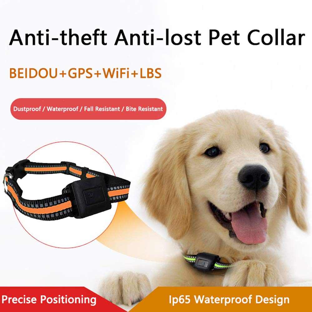 Amazon.co.jp: 犬のGpsトラッカー、10〜20メートルの精度でWiFi + LBS