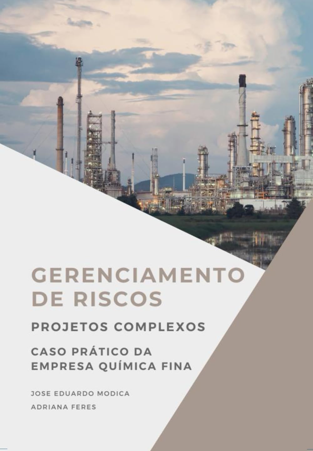 Gerenciamento de Riscos de Projetos Complexos na Prática: Caso Prático da Empresa Química Fina